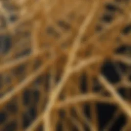 High-resolution image of gold nanowires exhibiting unique structural properties