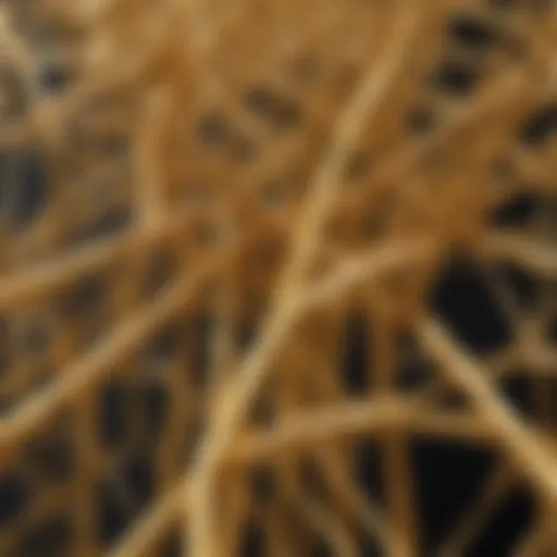 High-resolution image of gold nanowires exhibiting unique structural properties