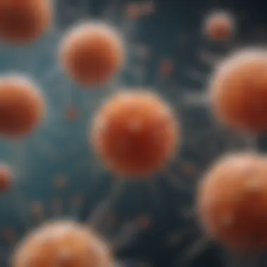 Keratinocytes and Immune Defense Keratinocytes in immune response mechanisms