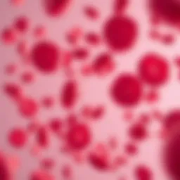 Microscopic view of abnormal blood cells
