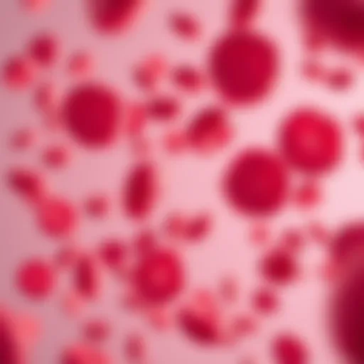 Abnormal Hematopoiesis in MDS Microscopic view of abnormal blood cells
