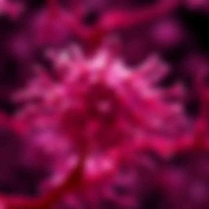 Neuronal Cell Culture with Neurobasal Medium Visual representation of neuronal cell culture using Neurobasal Medium