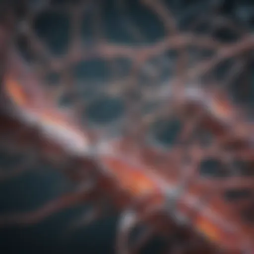 Illustration of neural pathways strengthening through neuroplasticity