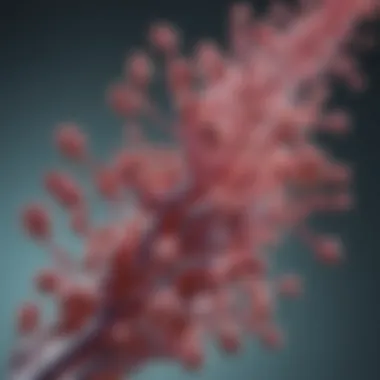 Therapeutic Potential of PKC Gamma Antibody Schematic showing potential therapeutic uses of PKC gamma antibody