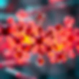 Chemical mechanisms of polyethylene oxidation