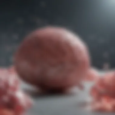 Latest advancements in cancer treatments