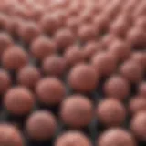 Overview of cancer types and their impact