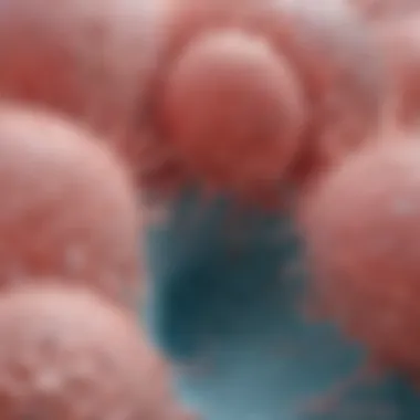 Detailed Structure of Skin Keratinocytes Illustration of skin keratinocyte structure