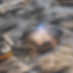 Solar panels harnessing energy