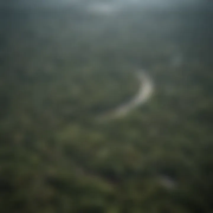 Aerial view showcasing the vastness of the Congo Rain Forest.