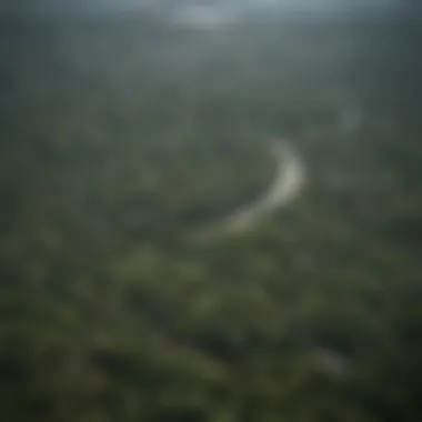 Vastness of the Congo Rain Forest Aerial view showcasing the vastness of the Congo Rain Forest.