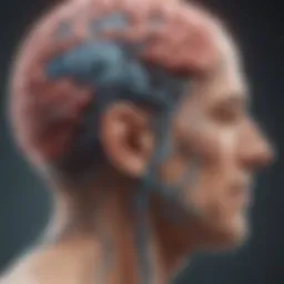 Neurological pathways affected by brain injury