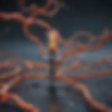 C-Kit signaling pathway diagram illustrating the molecular interactions