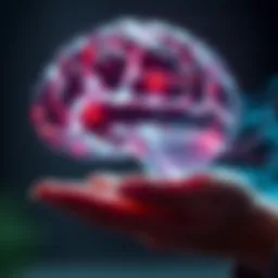Cognitive processes involved in learning