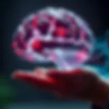 The Intricacies of Cognitive Processes in Learning Cognitive processes involved in learning