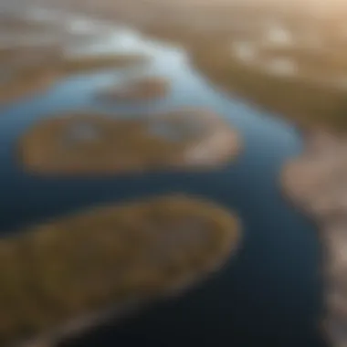 Aerial view of a coastal salt marsh