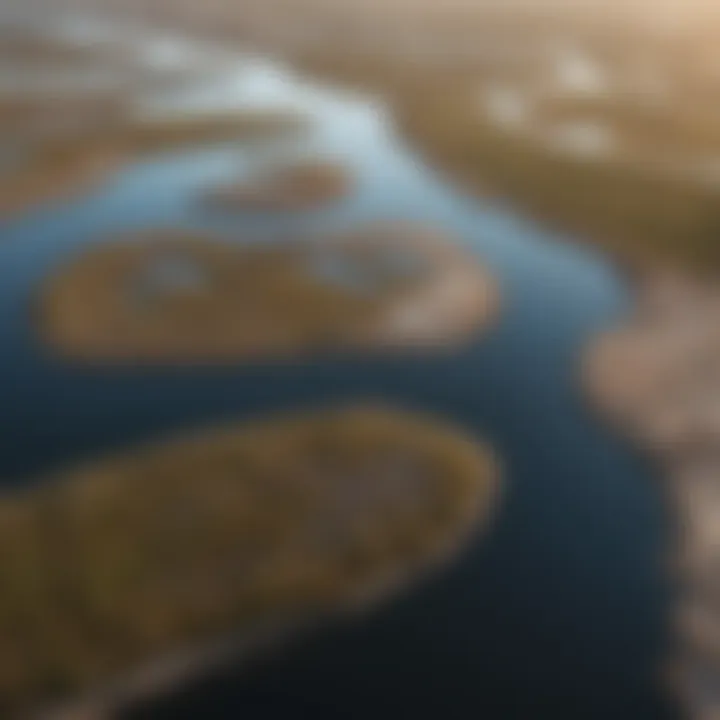 Aerial view of a coastal salt marsh