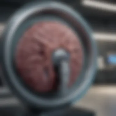 Innovations Shaping the Future of MRI Future advancements in MRI technology