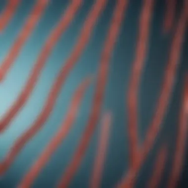Gel Electrophoresis of Isolated DNA Visualization of DNA samples in gel electrophoresis
