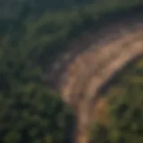 Aerial view of deforested land