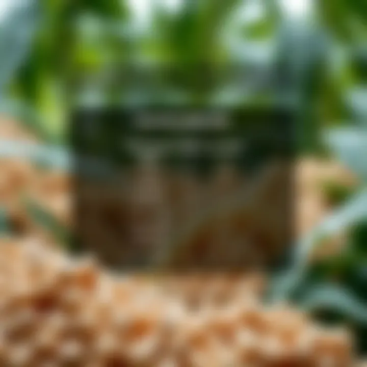 Nutritional comparison chart of GMO vs. non-GMO soybeans