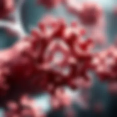 Cellular mechanisms affected by high gamma protein