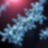 Molecular structure of high gamma protein