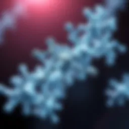 Molecular structure of high gamma protein
