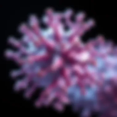 Recent research advancements in high gamma protein studies