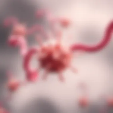 Luteinizing and Follicle-Stimulating Hormones Visual representation of luteinizing and follicle-stimulating hormones