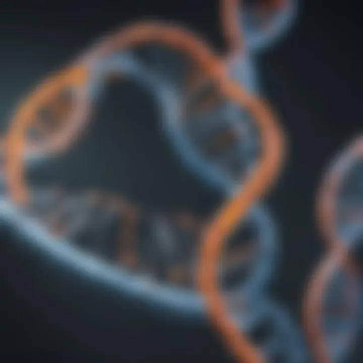 An illustration depicting the process of DNA replication