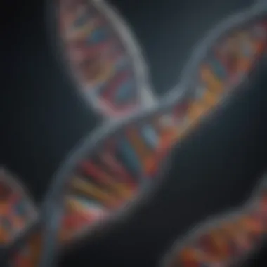 A detailed diagram showcasing the double helix structure of DNA