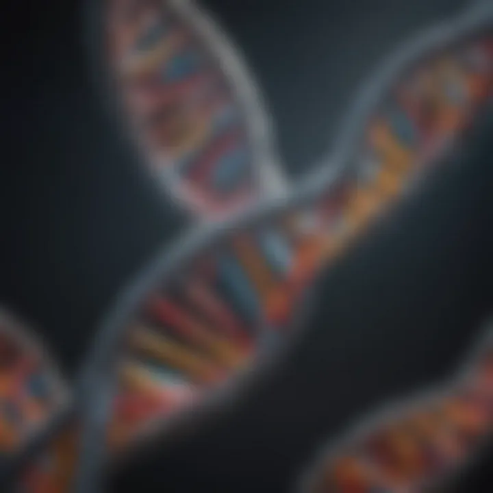 A detailed diagram showcasing the double helix structure of DNA