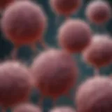 Microscopic view of cultured monocytes