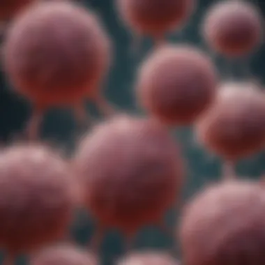 Microscopic Examination of Cultured Monocytes Microscopic view of cultured monocytes