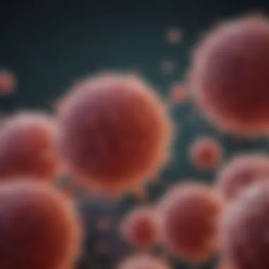 Tregs and Immune Cell Interactions Illustration of Treg cells interacting with other immune cells