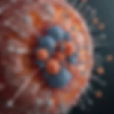 Understanding Immune Response to Vaccines Diagram showing immune response mechanisms