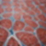 Detailed view of immunohistochemical staining