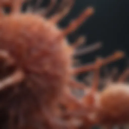 Visualization of immune response modulation in multiple sclerosis