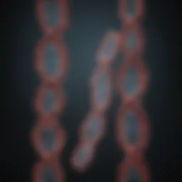 Chromosomal structures visualized through karyotype analysis