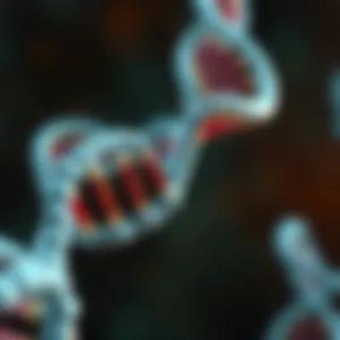 APC Gene Structure and Mutations Illustration depicting the structure of the APC gene and its mutations