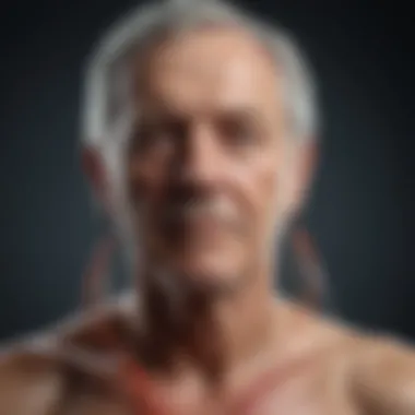 Diagram illustrating factors affecting renal health in older adults