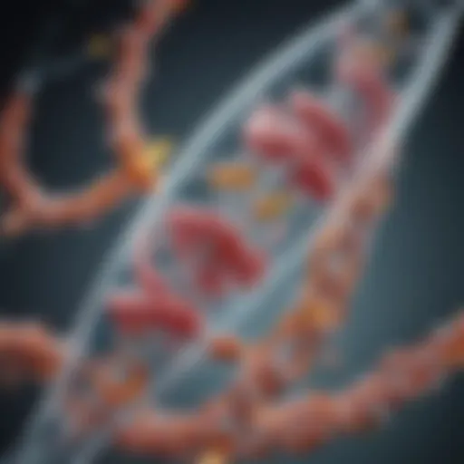 Illustration of the lactate dehydrogenase catalytic mechanism