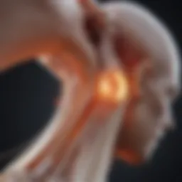 Visual representation of laser therapy mechanisms