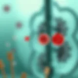 Illustration depicting the different types of leukemia