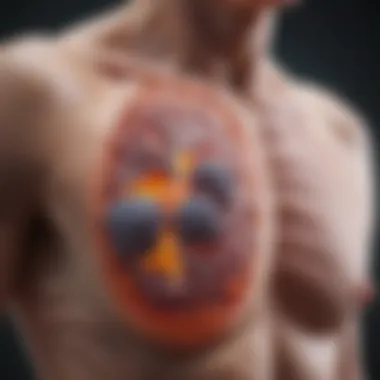 Radiological Assessment of Lobular Inflammation in the Lungs Radiological image of lung lobules affected by inflammation