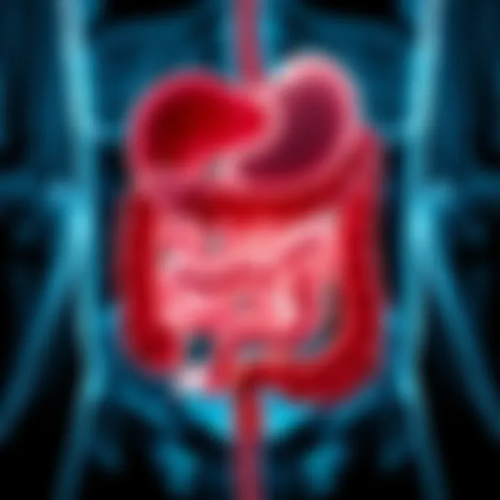 Digestive system diagram highlighting colon health
