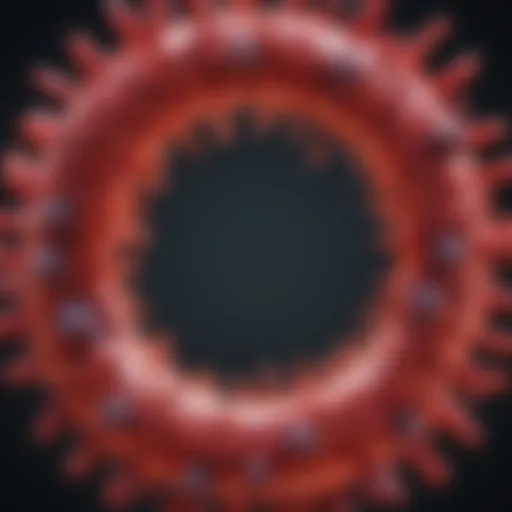 HIV virus structure and components