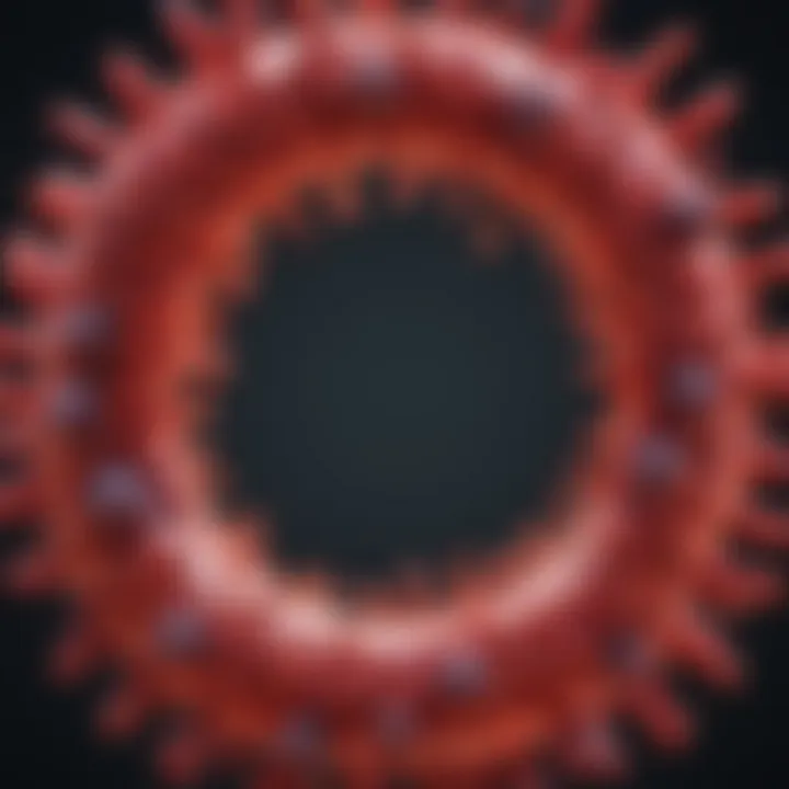 HIV virus structure and components
