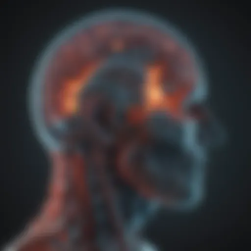 MRI scan showcasing brain activity in concussive injuries